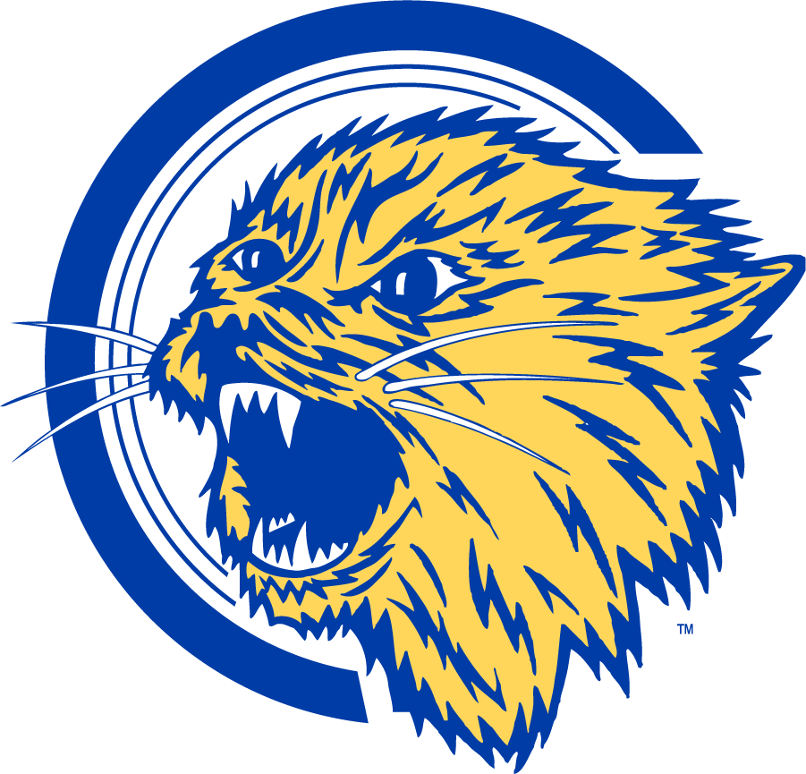 Montana State Bobcats 1965-1995 Alternate Logo DIY iron on transfer (heat transfer)